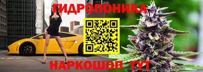 стаф Лесосибирск