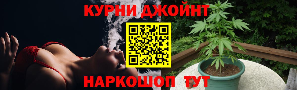 Урюпинск  Шишки марихуана White Widow  Канабис Bruce Banner  Вход с VPN  Бошки марихуана план 